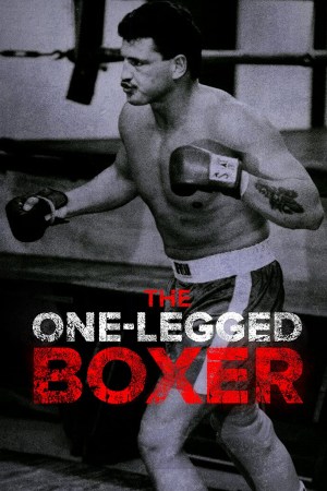 The One-Legged Boxer