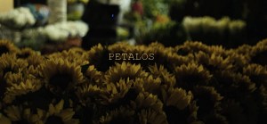 Petalos