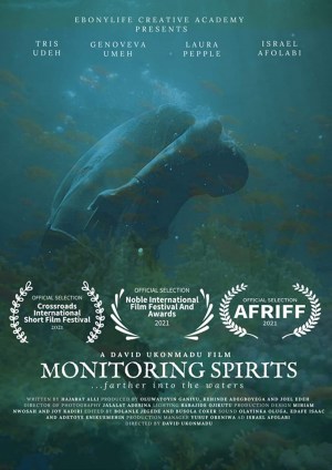 Monitoring Spirits
