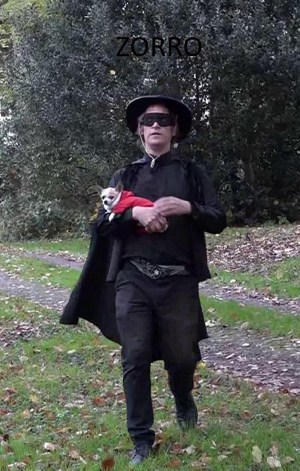 Zorro