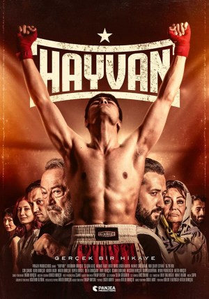 Hayvan