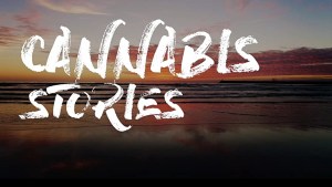 Cannabis Stories - Wellness Cannabis Stories - Wellness