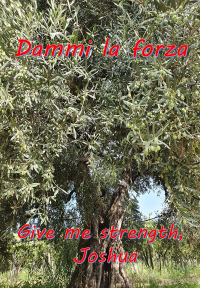 Give me strength, Joshua