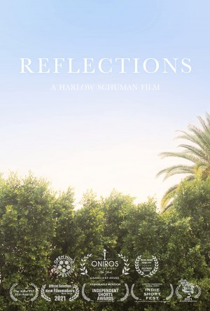 Reflections