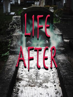 Life After Life After
