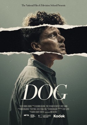 Dog Dog