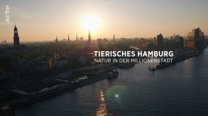 Tierisches Hamburg: Natur in der Millionenstadt