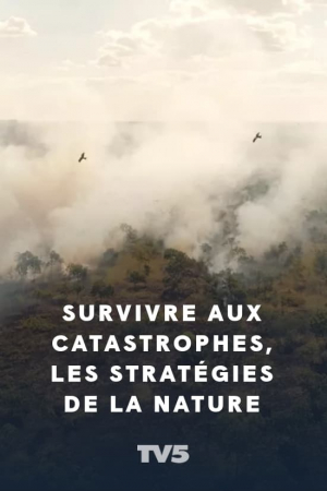 Survivre aux catastrophes: les stratégies de la nature Survivre aux catastrophes: les stratégies de la nature