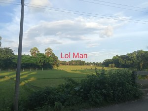 Lol Man (Remix)
