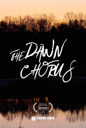 The Dawn Chorus