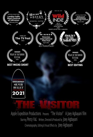 The Visitor