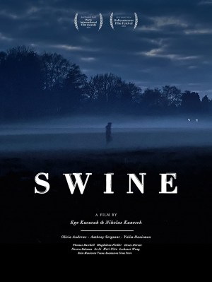 Swine