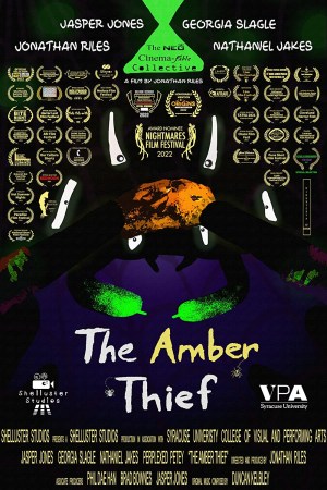 The Amber Thief