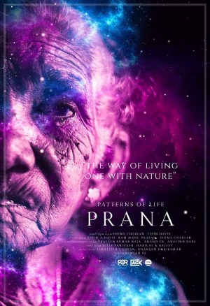 Patterns of life: Prana
