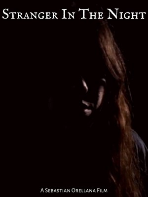 Stranger in the Night