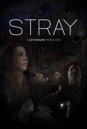 Stray
