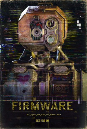 Firmware