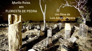 Floresta de Pedra
