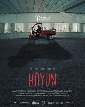 Koyun