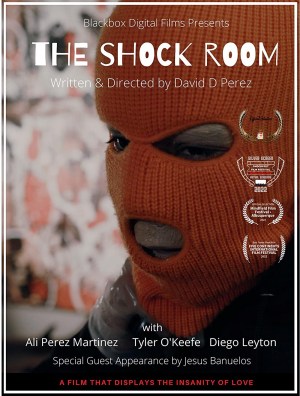 The Shock Room