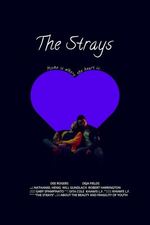 The Strays