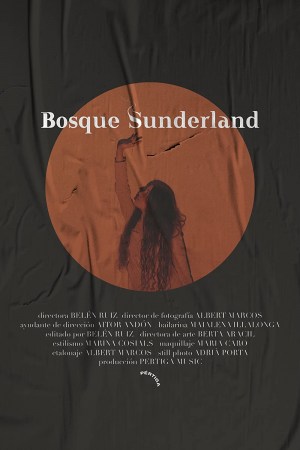 Amanda Álvaro: Bosque Sunderland