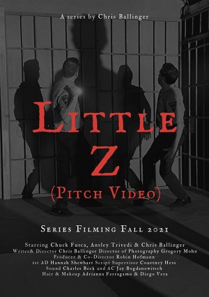 Little Z: Pitch