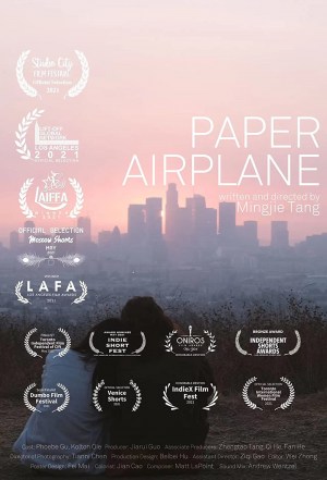 Paper Airplane