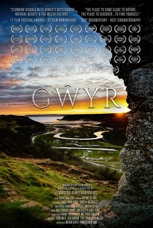 Gwyr