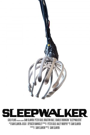 Sleepwalker