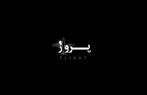 Flight