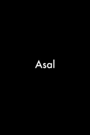Asal (Donkey)
