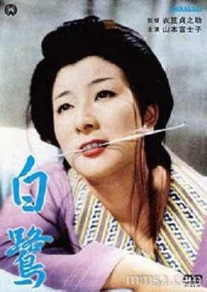 Shirasagi
