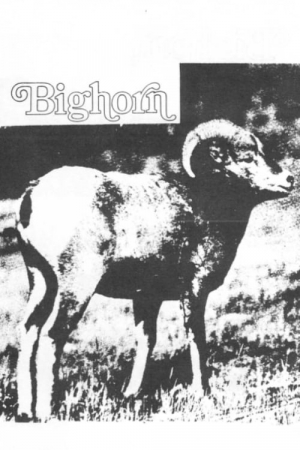 Bighorn