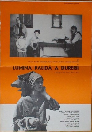 Lumina palida a durerii
