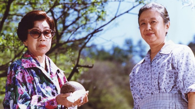 Película peliculas6/164950/fondo_640.jpg