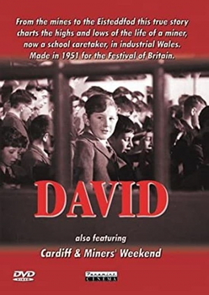 David David