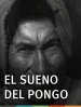 El sueño del pongo