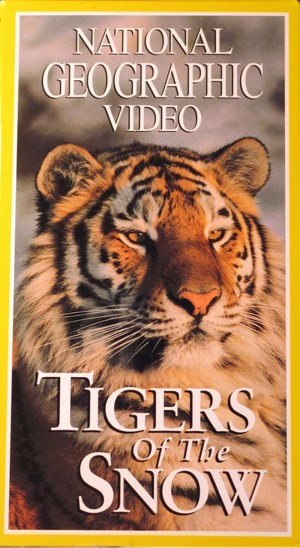Tigres de Siberia
