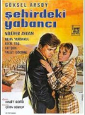 Sehirdeki yabanci