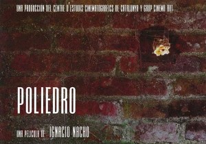 Poliedro