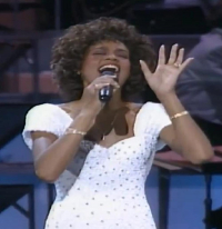 The 31st Annual Grammy Awards