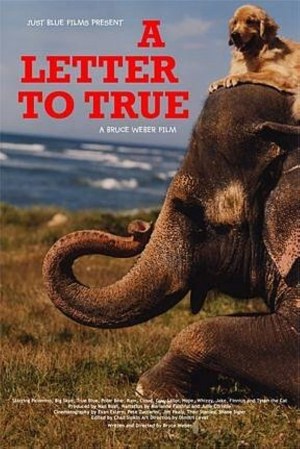 A Letter to True A Letter to True