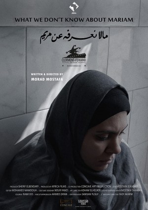 What We don't know about Mariam