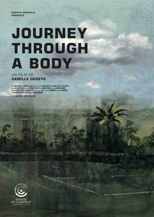 Journey Through a Body