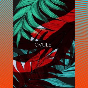 Ovule