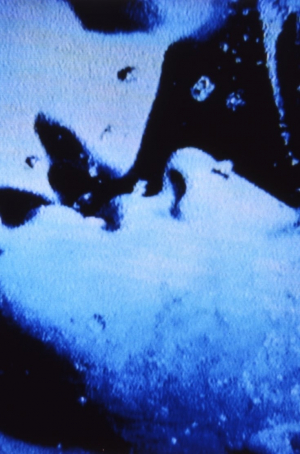 Self-Portrait in 23 Rounds: A Chapter in David Wojnarowicz's Life, 1989-1991