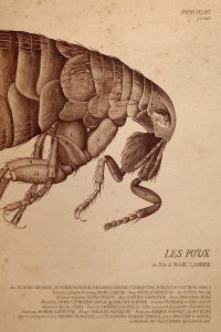 Les poux