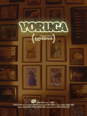 Yoruga