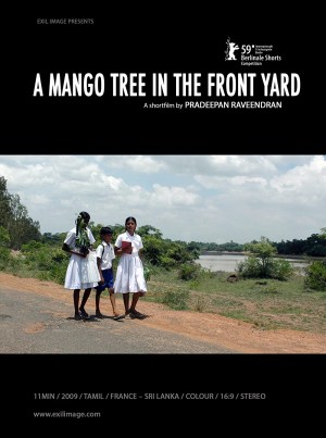 A Mango Tree in the Front Yard
